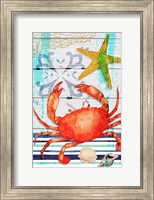 New England Crab Fine Art Print