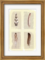 Traditional Figurative Feathers Fine Art Print