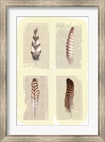 Traditional Figurative Feathers Fine Art Print
