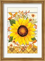 Sunflower Fine Art Print