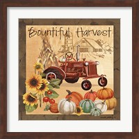 Bountiful Harvest II Fine Art Print