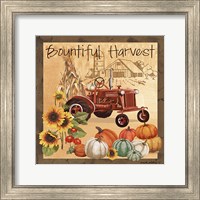 Bountiful Harvest II Fine Art Print