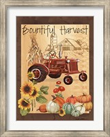 Bountiful Harvest III Fine Art Print