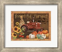 Bountiful Harvest IV Fine Art Print
