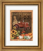 Bountiful Harvest VI Fine Art Print