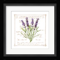 Floral III Framed Print