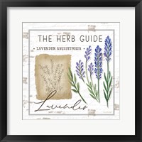 Herb Guide - Lavender Framed Print