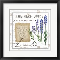 Herb Guide - Lavender Framed Print