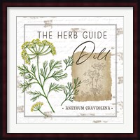 Herb Guide - Dill Fine Art Print
