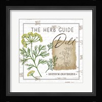 Herb Guide - Dill Framed Print
