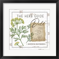 Herb Guide - Dill Framed Print
