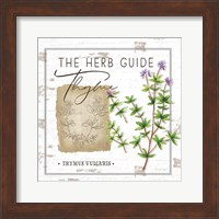 Herb Guide - Thyme Fine Art Print