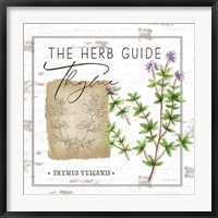 Herb Guide - Thyme Fine Art Print