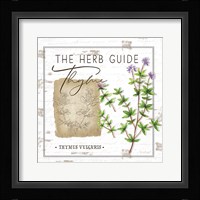 Herb Guide - Thyme Framed Print