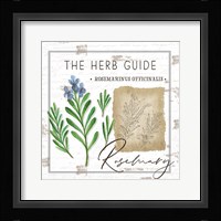 Herb Guide - Rosemary Framed Print