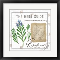 Herb Guide - Rosemary Framed Print