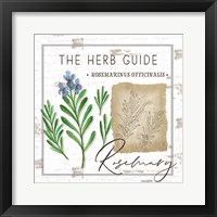 Herb Guide - Rosemary Framed Print