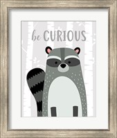 Be Curious Raccoon Fine Art Print