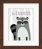 Be Curious Raccoon Fine Art Print