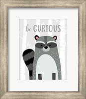 Be Curious Raccoon Fine Art Print