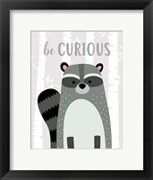 Be Curious Raccoon Fine Art Print