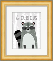 Be Curious Raccoon Fine Art Print