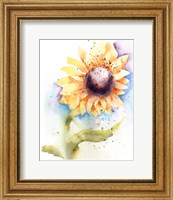 Sunflower II Fine Art Print