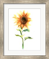Sunflower III Fine Art Print