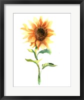 Sunflower III Fine Art Print