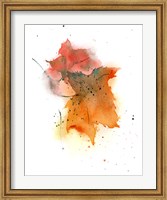 Fall Leaves IV Fine Art Print