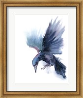 Crow I Fine Art Print