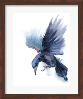 Crow I Fine Art Print