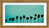 Palms in Color Fine Art Print