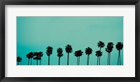 Palms in Color Fine Art Print