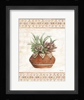 Southwest Terracotta Succulents II Fine Art Print