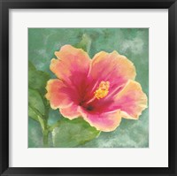 Hibiscus I Fine Art Print
