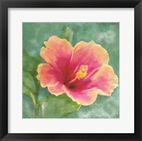 Hibiscus I Framed Print