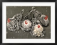 Four Hens Fine Art Print