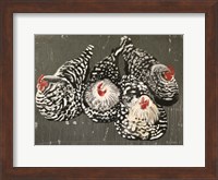 Four Hens Fine Art Print