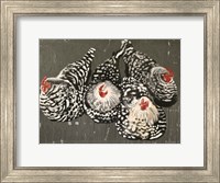 Four Hens Fine Art Print