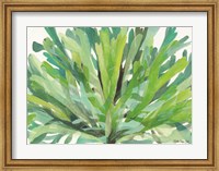 Tropical Sea Grass 1 Fine Art Print