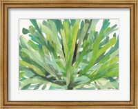 Tropical Sea Grass 1 Fine Art Print