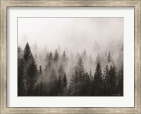 Forest Fine Art Print