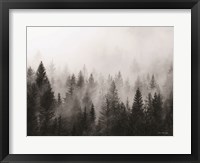 Forest Fine Art Print