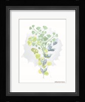 Watercolor Greenery Series I Framed Print