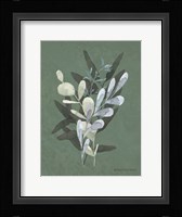 Watercolor Greenery Series Dark II Framed Print
