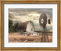 Henderson Bay Farm Fine Art Print