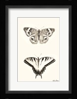 Butterflies Fine Art Print