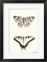 Butterflies Fine Art Print