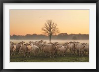 Just Come Cows and A Dead Tree Fine Art Print
